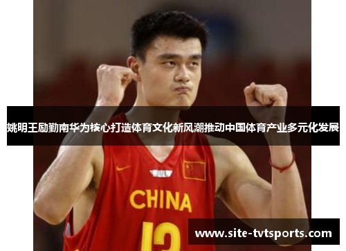 姚明王励勤南华为核心打造体育文化新风潮推动中国体育产业多元化发展