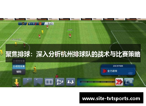 聚焦排球：深入分析杭州排球队的战术与比赛策略